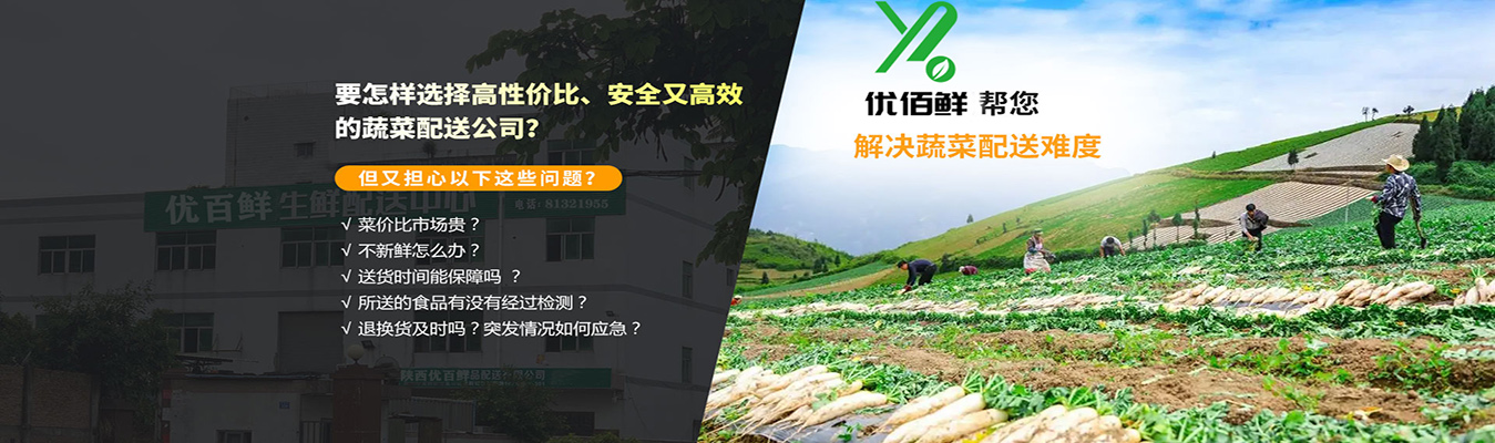 要怎樣選(xuǎn)擇(zé)高性價比、安全又高效的蔬菜配送公司? 要怎樣選擇高性價比、安全又(yòu)高效的蔬菜配送公司?